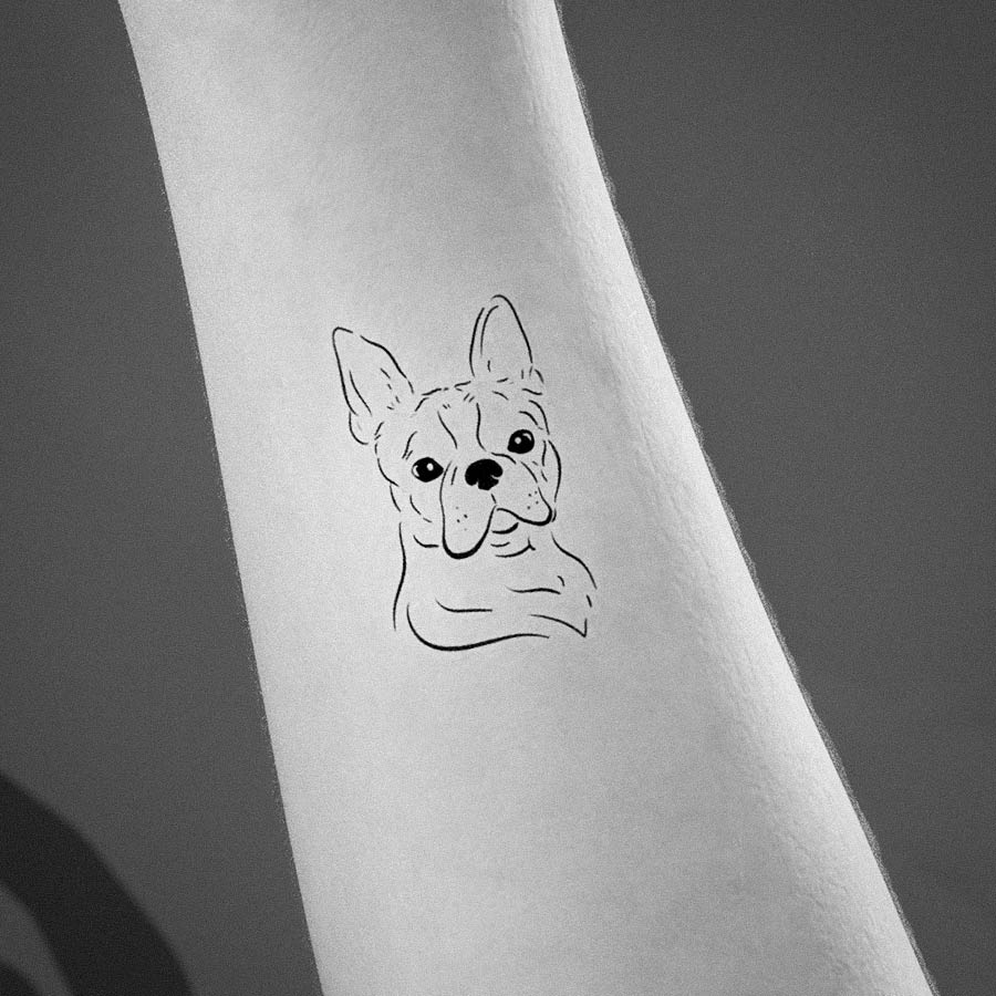 Boston Terrier Traditional Tattoo by Marty McEwan of Black 13 Tattoo  Nashville TN  rtattoos