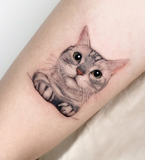 fancy cat portrait tattoos