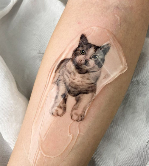cat memorial tattoo  My Pets Ashes