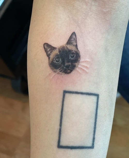 Depiction Tattoo Gallery : Tattoos : Flower : Cat Memorial