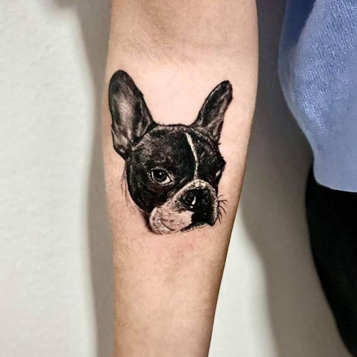 black and white french bulldog detail tattoo