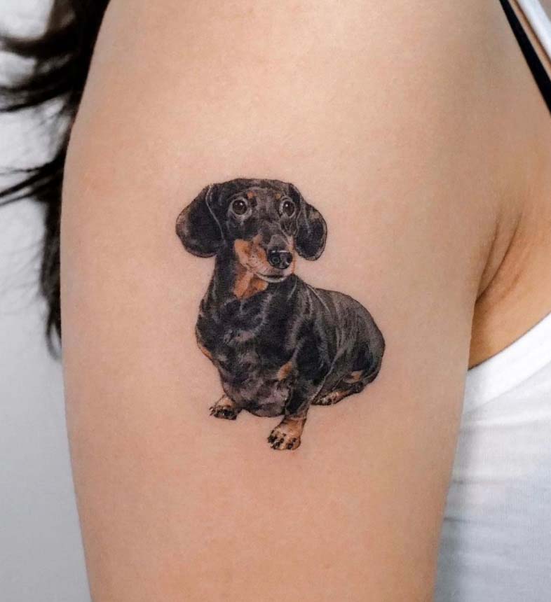 black brown dachshund pet tattoo