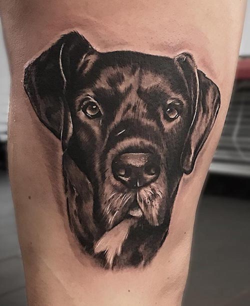 26 Dog Tattoo Ideas to Commemorate Your Pet - Great Pet Living