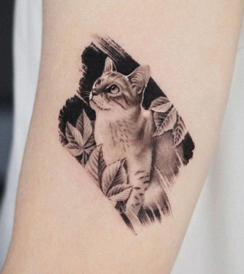Cat Tattoos on Instagram Kitty tattoo by mariafernandeztattoo cattattoo  cattattoos kittytattoos