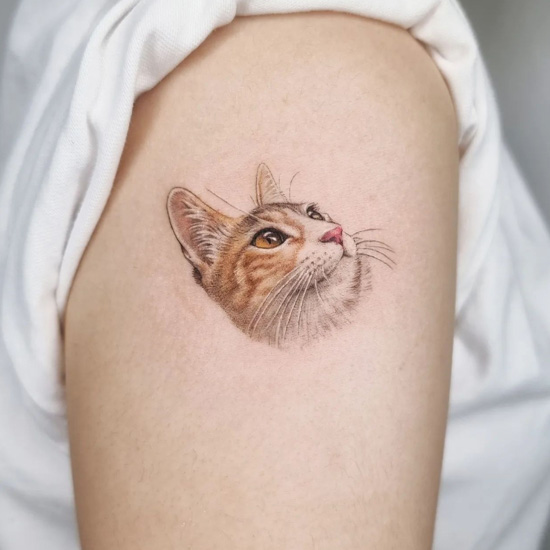 Premium Photo | A women arm cat tattoo