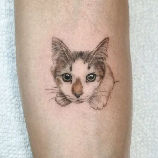 40 Incredible Realistic Cat Tattoos