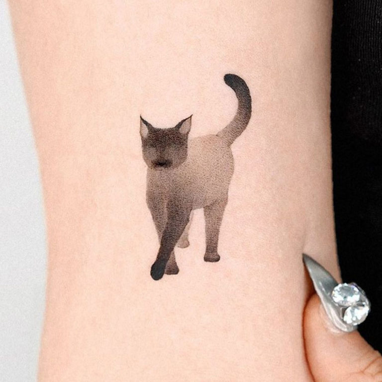 5pcs 1056cm Waterproof Sexy Black Cats Temporary Tattoo Stickers  Fruugo  IN