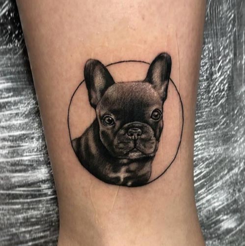 cute black french puppy bulldog tattoo
