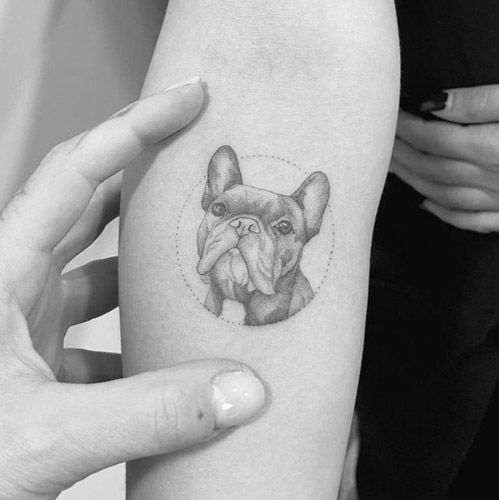 cute french bulldog realistic tattoo on arm