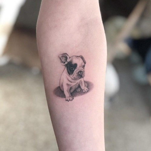 cute detailed frenchie puppy tattoo on arm
