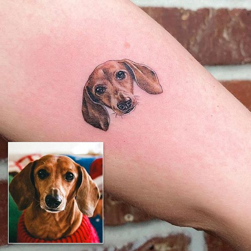dachshund portrait tattoo