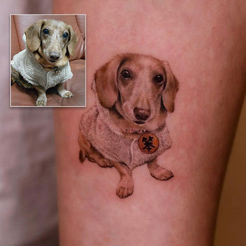 dachshund tattoo with comparison