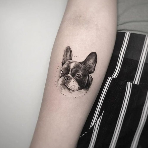 detail circle border frenchie dog tattoo