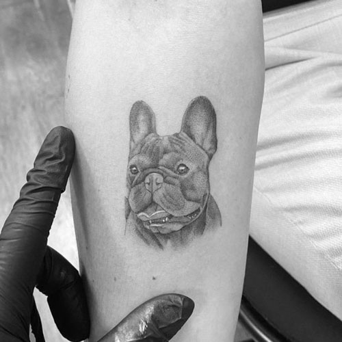 detail realistic french bulldog pet tattoo