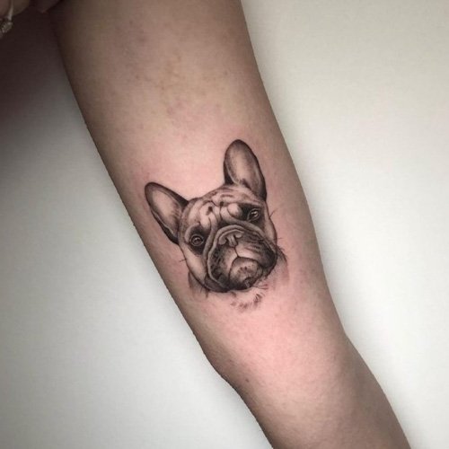 detailed frenchie tattoo head portrait on arm