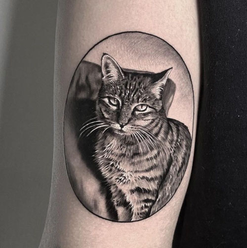 fancy cat portrait tattoo