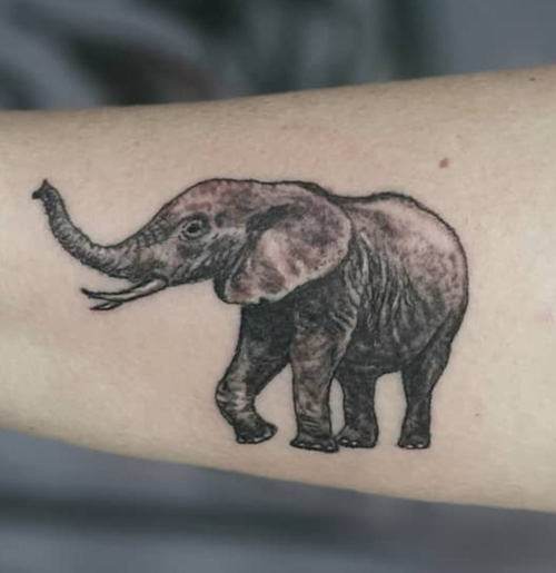 Premium Vector | Elephant animal tribal tattoo black and white design