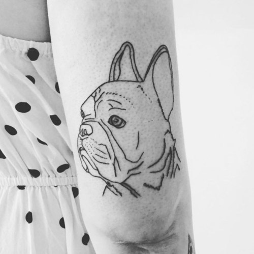 doodle illustration of french bulldog tattoo