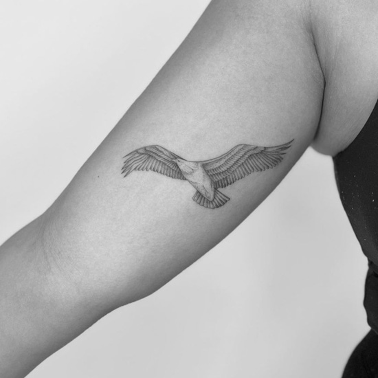 Goshawk tattoo on the left inner arm