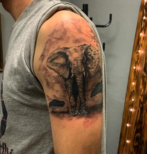 Lion and elephant sleeve tattoo  Lion head tattoos Sleeve tattoos Men tattoos  arm sleeve
