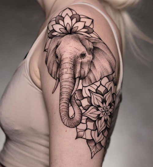 🐘 Traditional elephant tattoo added to Sasha's collection. Tattooed by  Raoul 🫶 @goetzetattoo⁠ ⁠ 🐘⁠ ⁠ #traditionalelephanttattoo… | Instagram