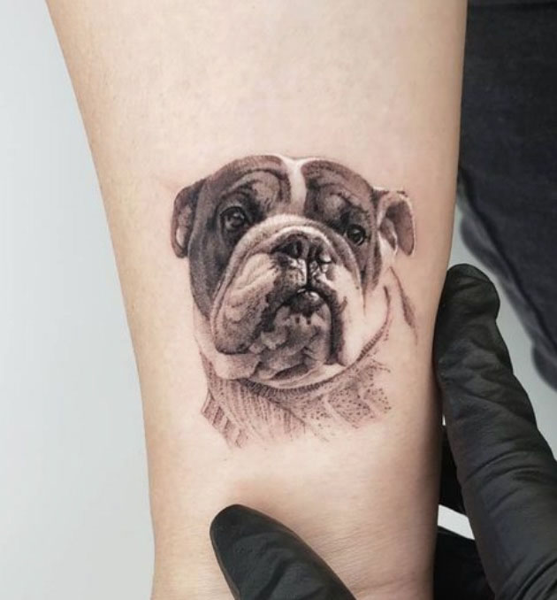 dog tattoos ideas english bulldog edition｜TikTok Search