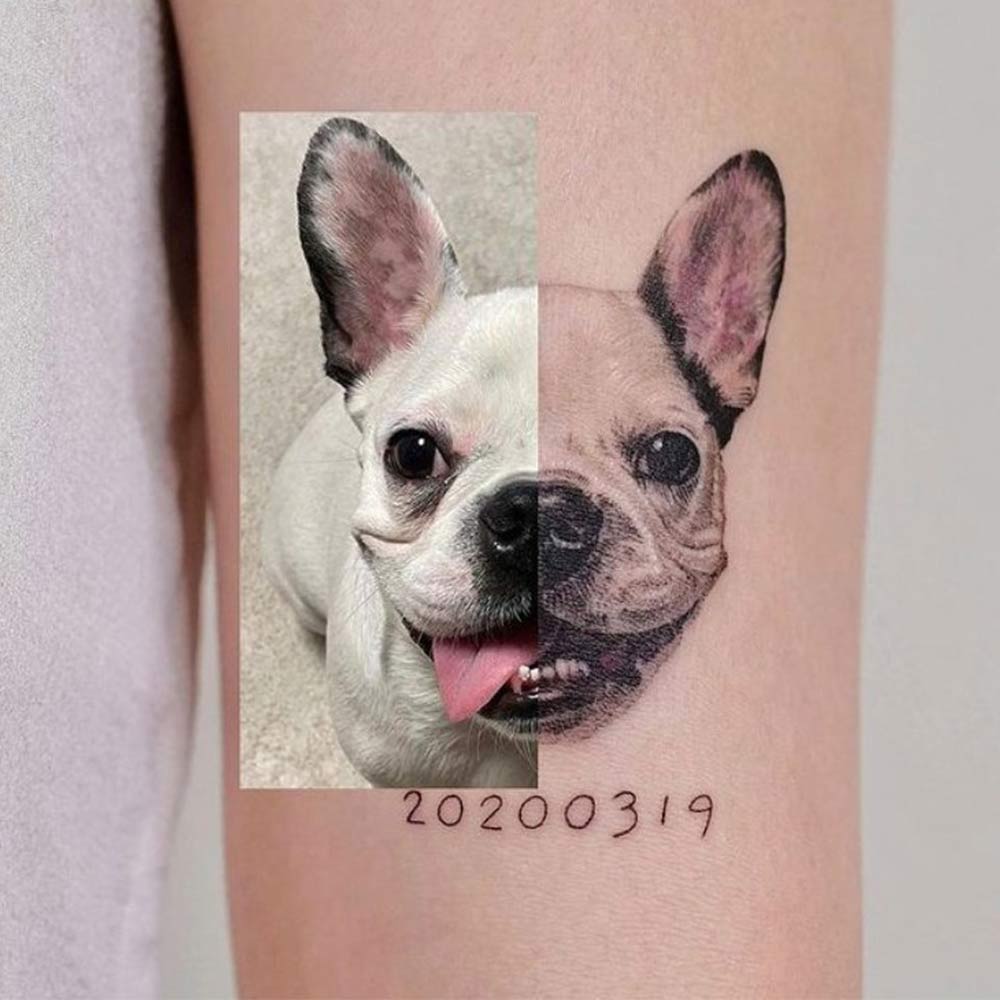Microrealistic french bulldog tattoo on the inner
