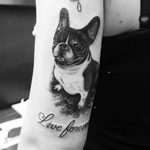 full body french bulldog tattoo on back arm