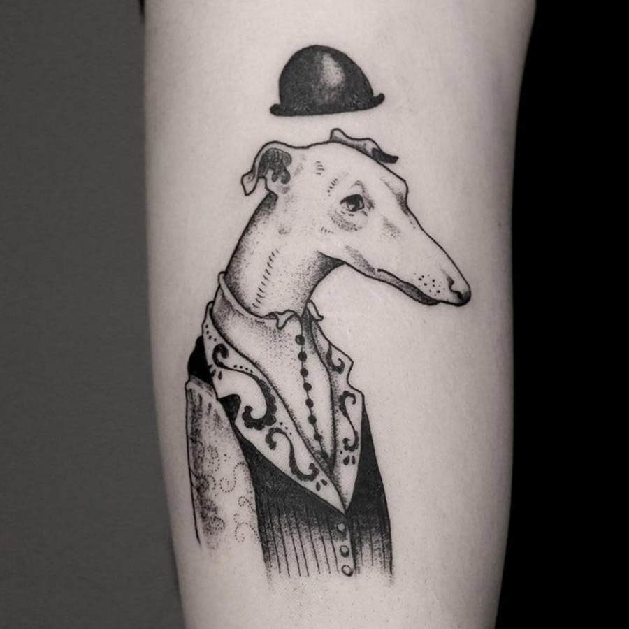 Sometimes I just like to show off my ear tattoo  rGreyhounds