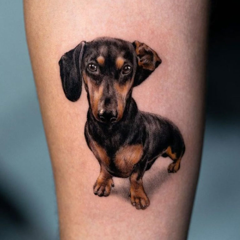 pet wiener dog tattoo on arm