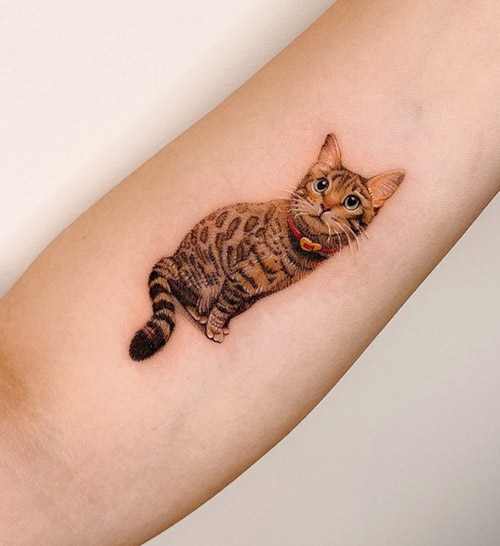 Black and grey cat portrait tattoo on the forearm