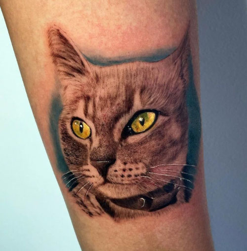 Mike DeVries  Tattoos  Nature Animal Cat  Cat Tattoos