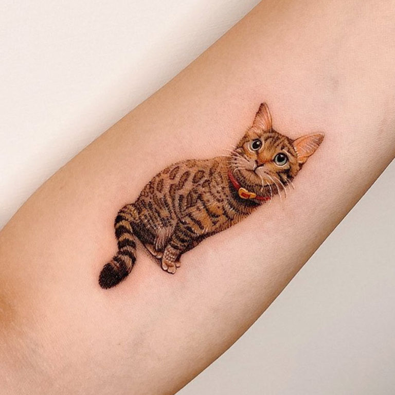 Orange Cat by Monica Painter. TattooNOW