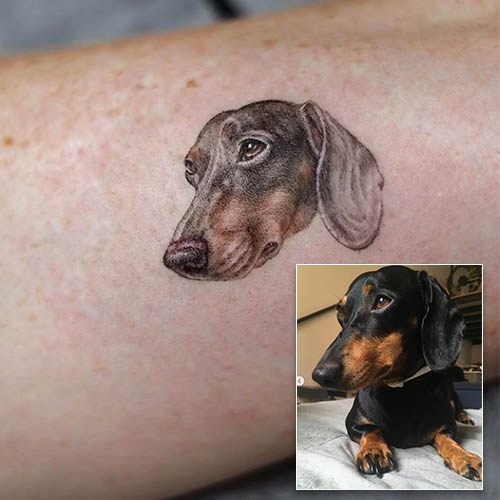 realistic dachshund head portrait tattoo