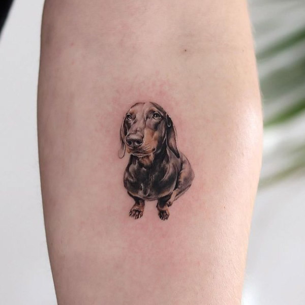 realistic dachshund pet tattoo on arm