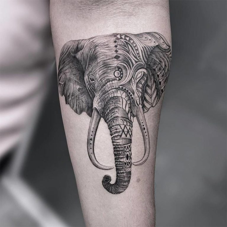 East Indian Elephant Tattoo by Enoki Soju HEALED by enokisoju on  DeviantArt