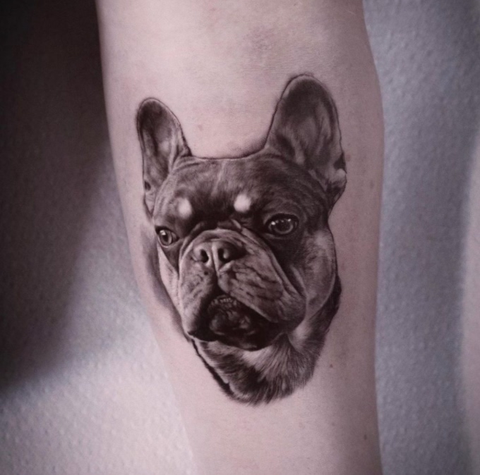 dog ear outline tattoo from behind｜TikTok Search