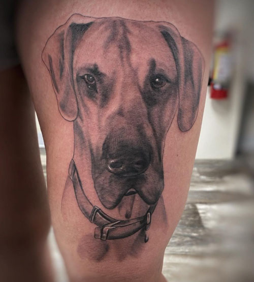 Pin by Katy Merriam on Tattoo  Dog tattoos Rhodesian ridgeback Dog line  art