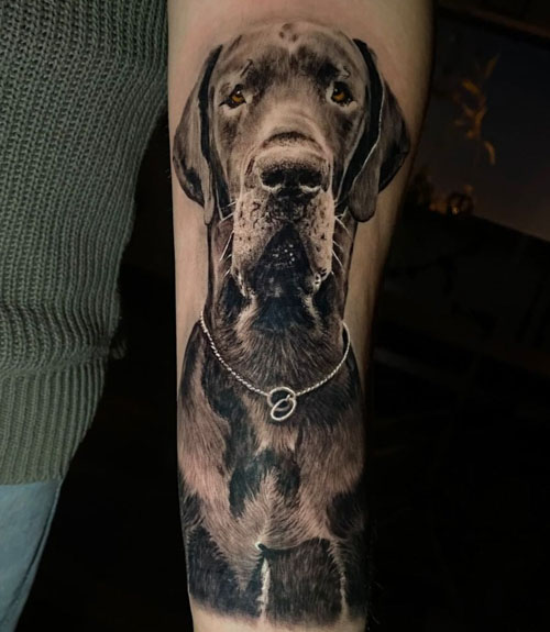 Black and grey great dane portrait  The Tattoo Shoppe  Facebook