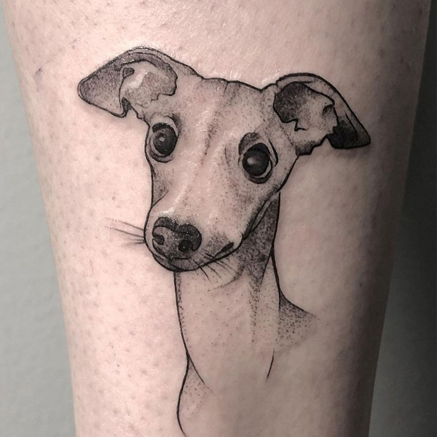 40 Greyhound Tattoo Designs for Men [2024 Inspiration Guide] | Greyhound  tattoo, Greyhound pictures, Tattoo designs men