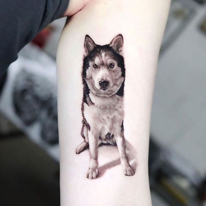 80 Siberian Husky Tattoo Designs For Men  Dog Ink Ideas