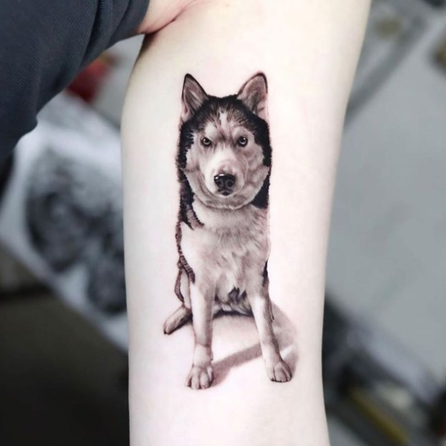 Sibirian Husky tattoo by Steve Butcher  Photo 31701