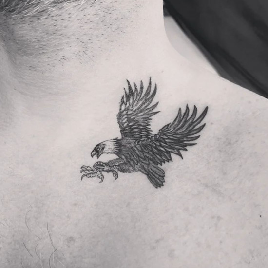 Small Hawk Tattoo Design | Hawk tattoo, Tattoo designs, Small tattoos