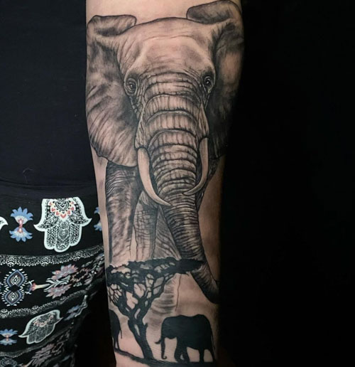 Tattoo Ideas  Elephants  Zebra Africa Sleeve 