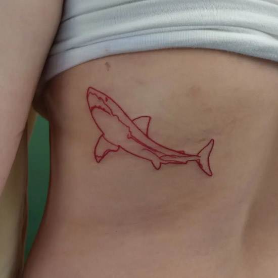 Shark Tattoo Images  Free Download on Freepik