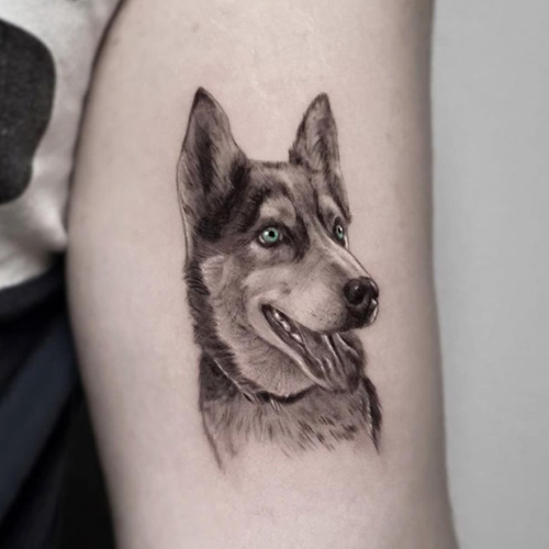 Cute Black Ink Puppy Husky Tattoo On Left Half Sleeve