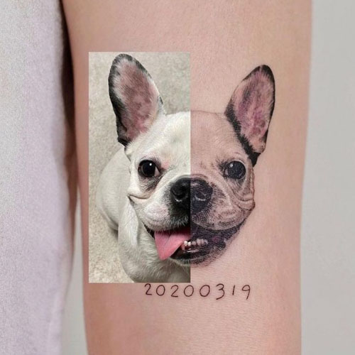 side by side french bulldog pet tattoo