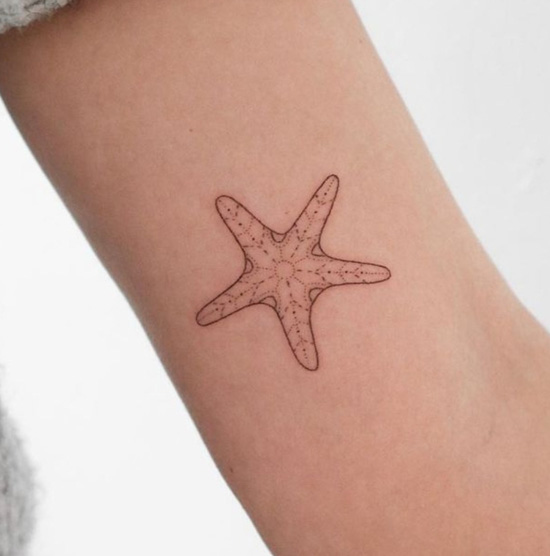 Starfish Tattoos And DesignsStarfish Tattoo Meanings And IdeasStarfish  Tattoo Pictures  HubPages