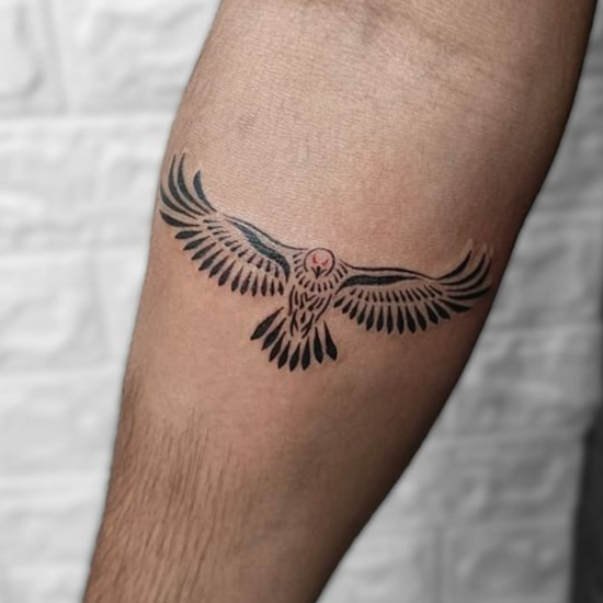 small bald eagle tattoos｜TikTok Search