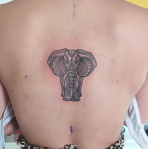 Marloes Lupker - Today I started this super cool panoramic band tattoo with  an Eliphant! Yay! One of my favorite animals 🥰🐘💖 More to be added next  month! #eliphanttattoo #wildlife #amazingeliphant #naturetattoos #